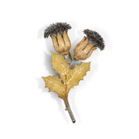 Buccellati Thistle corsage clip “Cardo”