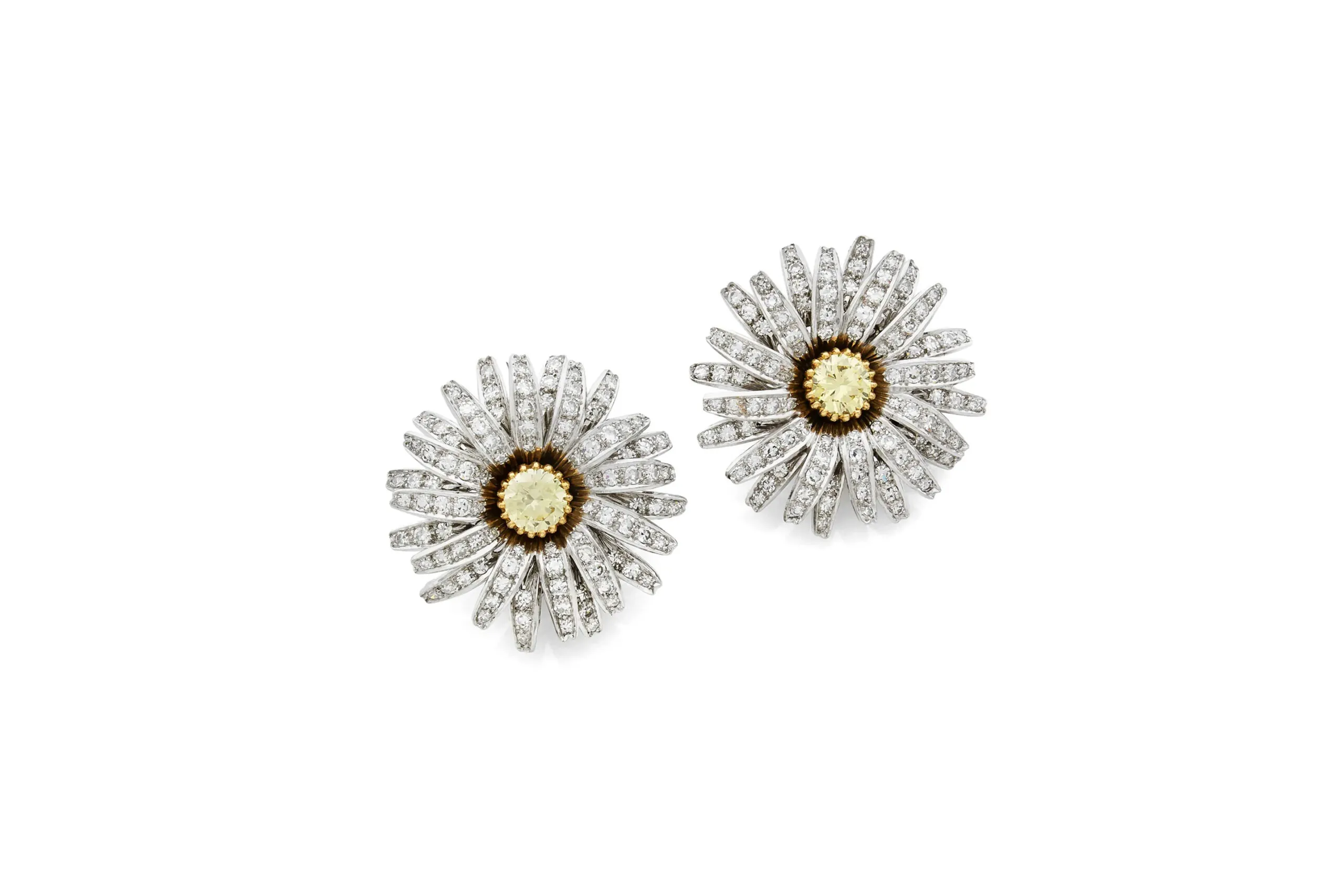 The Vintage Maino Floral Clips on the white background